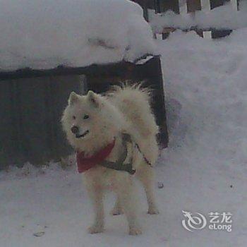 雪乡二浪河蒋衍青家庭旅馆酒店提供图片