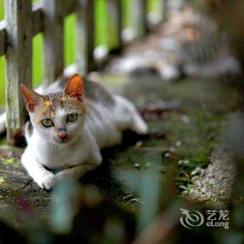 肇庆鼎湖明月湾客栈酒店提供图片