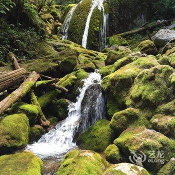 泸沽湖清枫别院酒店提供图片