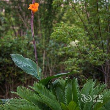 武夷水庄上溪花园别墅酒店酒店提供图片