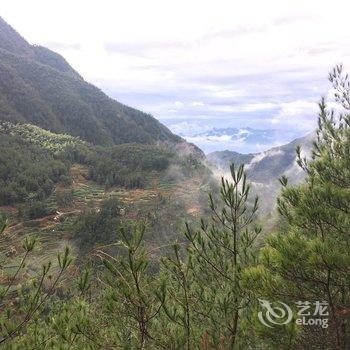 松阳青山云雨客栈酒店提供图片