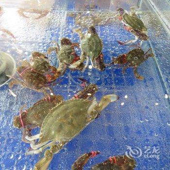 绥中东戴河御龙湾大酒店酒店提供图片