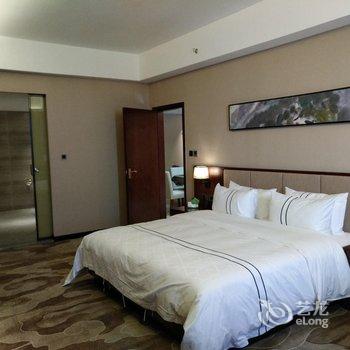吴川星桥国际酒店酒店提供图片
