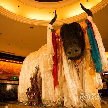 成都西藏饭店酒店提供图片