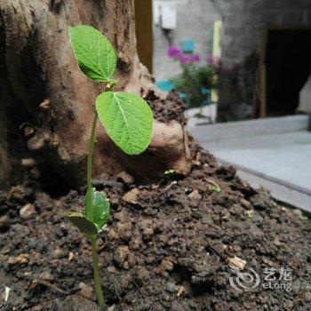 湘西凤凰西原民宿酒店提供图片