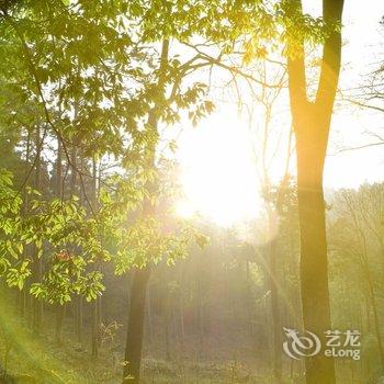 庐山大自然青年旅舍酒店提供图片