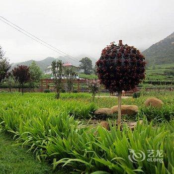 秦皇岛昌黎葡萄沟树梁饭庄酒店提供图片