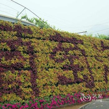 秦皇岛昌黎葡萄沟树梁饭庄酒店提供图片