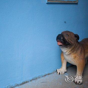 厦门北站狗窝主题驿站酒店提供图片