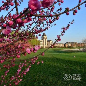 廊坊艾力枫社高尔夫酒店酒店提供图片