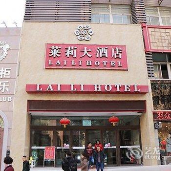 莱莉大酒店酒店提供图片