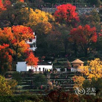 宏村半山书画院客栈酒店提供图片