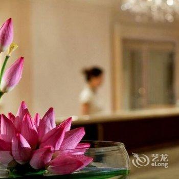 广州富力丽思卡尔顿酒店酒店提供图片