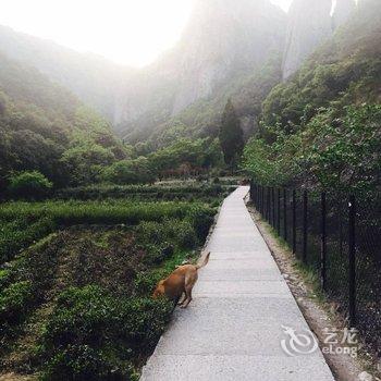 雁荡山大龙湫客堂间酒店提供图片