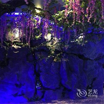 抚州雅轩主题酒店酒店提供图片