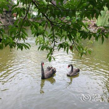 苏州桃园国际度假酒店酒店提供图片