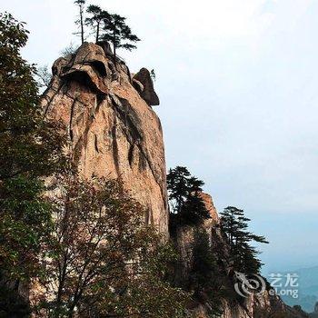 平顶山体育村商务酒店酒店提供图片