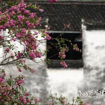 婺源野冰摄影驿栈酒店提供图片