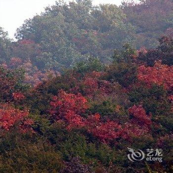 邢台临城蝎子沟国家森林公园源生泰农家院酒店提供图片