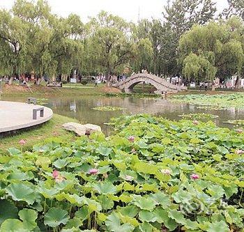 老干部活动中心御花园酒店酒店提供图片