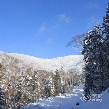 牡丹江王老五雪乡宾馆酒店提供图片