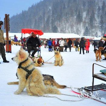 牡丹江王老五雪乡宾馆酒店提供图片