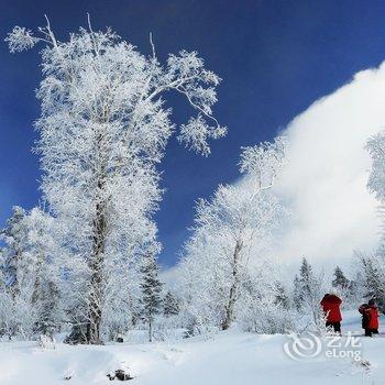 牡丹江王老五雪乡宾馆酒店提供图片