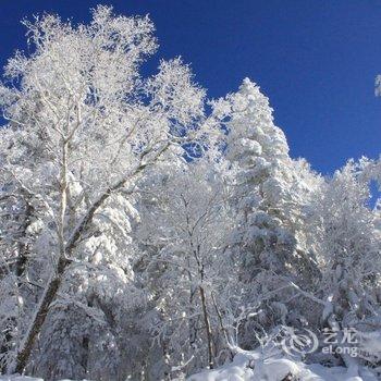 牡丹江王老五雪乡宾馆酒店提供图片