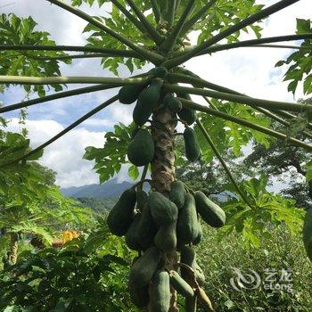 昌江木棉客栈酒店提供图片