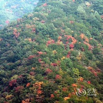 邢台临城蝎子沟国家森林公园源生泰农家院酒店提供图片