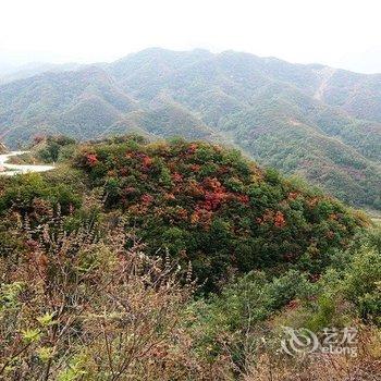 邢台临城蝎子沟国家森林公园源生泰农家院酒店提供图片