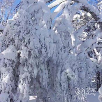 牡丹江海林顺心家庭旅馆酒店提供图片