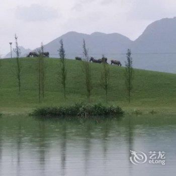 丘北千意客栈酒店提供图片