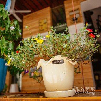 张家界花语堂客栈(天门山一店)酒店提供图片