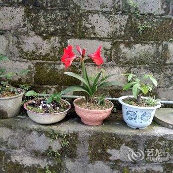 桂林千层梯田客栈酒店提供图片