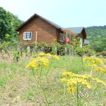 泾县绿林谷木屋度假村酒店提供图片