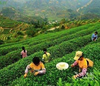 安康南宫山心海生态度假山庄酒店提供图片