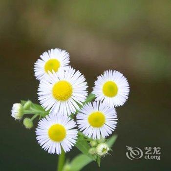 雷波马湖景泓酒店酒店提供图片