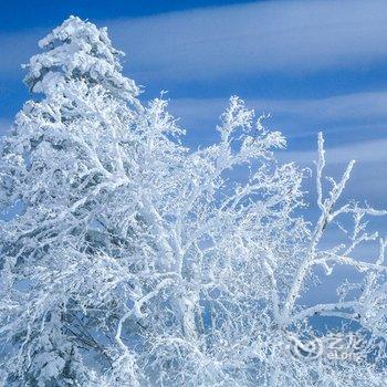 雪乡天雪缘山庄酒店提供图片