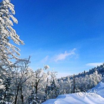 雪乡天雪缘山庄酒店提供图片