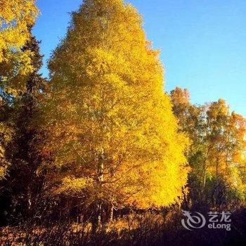 哈巴河游侠客山庄酒店提供图片