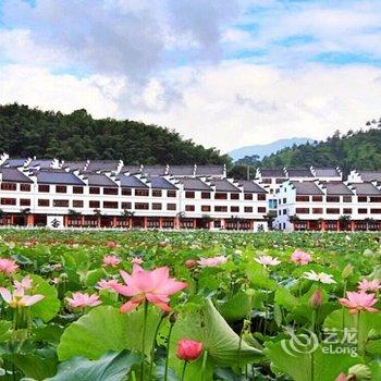 丽水遇见花开精品民宿酒店提供图片