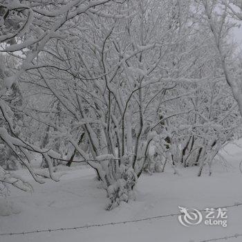 尚志万家灯火山庄酒店提供图片