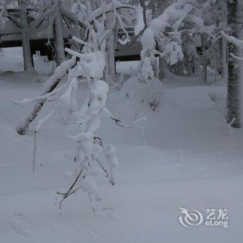 尚志万家灯火山庄酒店提供图片