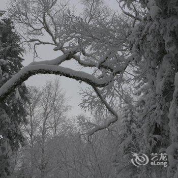 尚志万家灯火山庄酒店提供图片