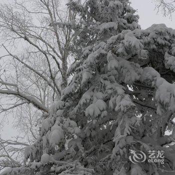 尚志万家灯火山庄酒店提供图片