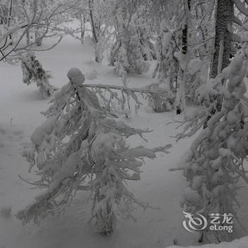 尚志万家灯火山庄酒店提供图片