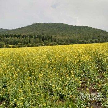 阿尔山59号客栈酒店提供图片