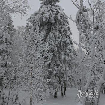 尚志万家灯火山庄酒店提供图片