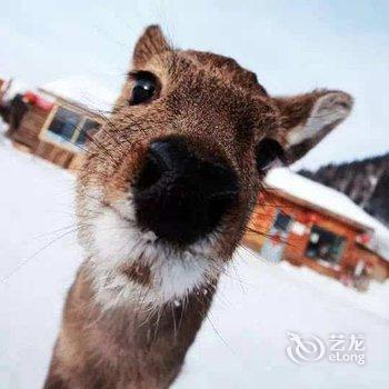 尚志万家灯火山庄酒店提供图片